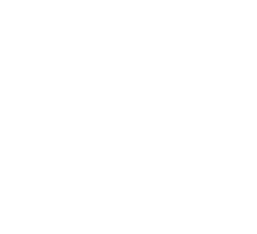 D2 Projects